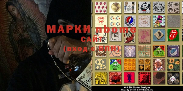 крисы Алзамай