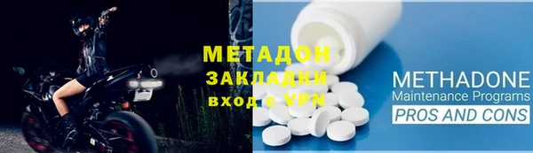 индика Алексин