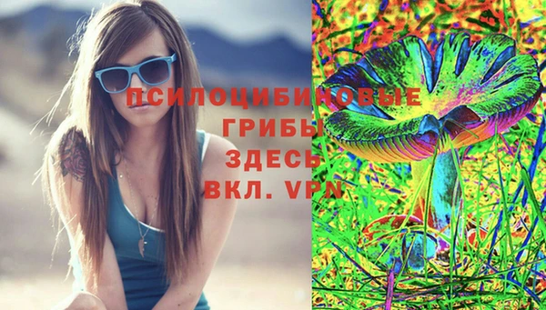 крисы Алзамай
