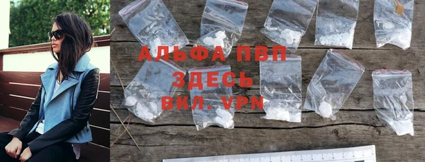индика Алексин