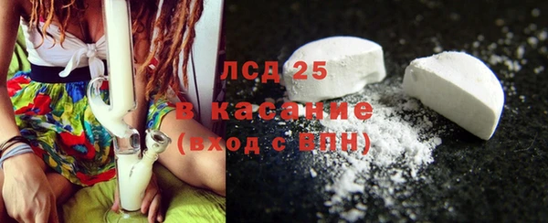индика Алексин