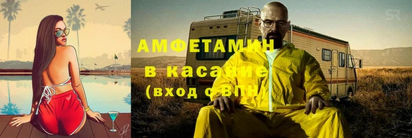 крисы Алзамай