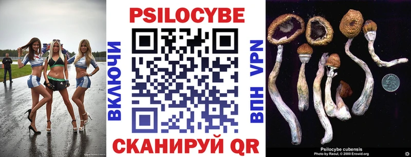 Галлюциногенные грибы MAGIC MUSHROOMS  хочу   Камбарка 